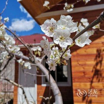 小金苹果共享农庄酒店酒店提供图片