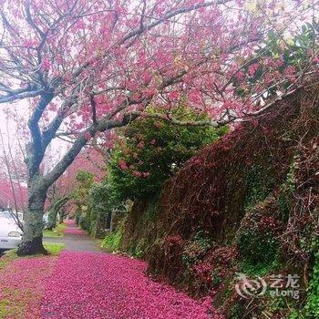 珠海悦居酒店酒店提供图片