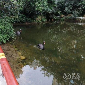 自贡兰听雨露公寓酒店提供图片