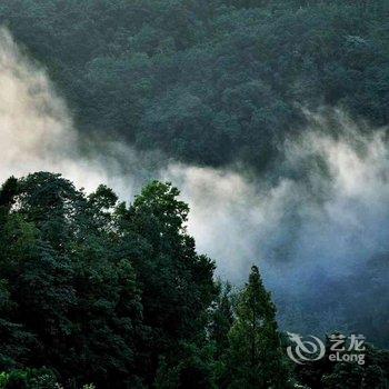 青城山青暇山居野奢度假酒店酒店提供图片