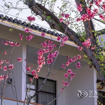 喆啡酒店(婺源梦里老家店)酒店提供图片