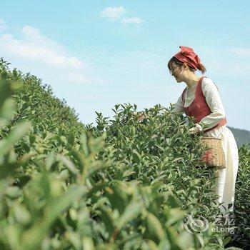 湖州云鹿·莫干山觅麓温泉美墅酒店提供图片