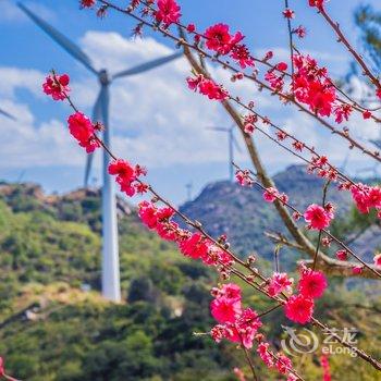 南澳青澳湾岛上岛公寓酒店提供图片