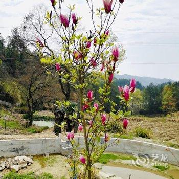 岳西四季居生态农庄酒店提供图片