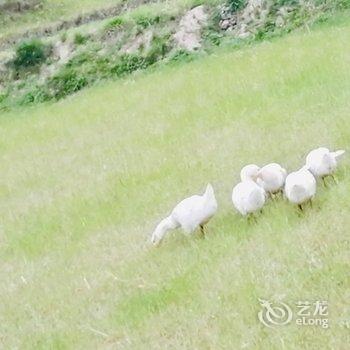 岳西四季居生态农庄酒店提供图片