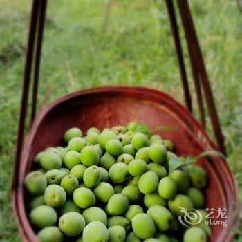 仙居杜若山居民宿酒店提供图片