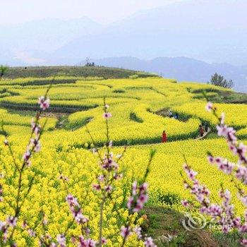 永嘉墨客休舍民宿酒店提供图片