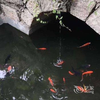 壶关九月客舍客栈酒店提供图片