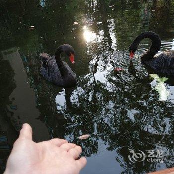 自贡兰听雨露公寓酒店提供图片