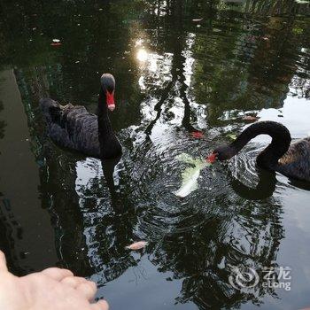 自贡兰听雨露公寓酒店提供图片