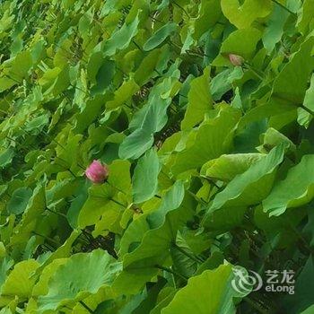 安吉横塘湾田园驿站酒店提供图片