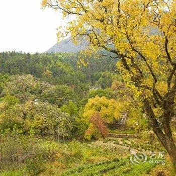 黄山涵香居民宿酒店提供图片