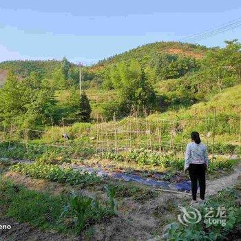 武功山星河云宿酒店提供图片