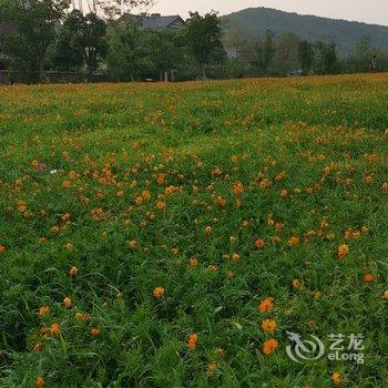 无锡静心禅意客栈酒店提供图片
