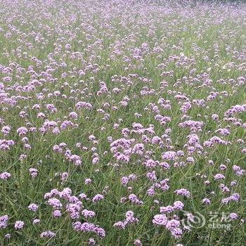 无锡静心禅意客栈酒店提供图片