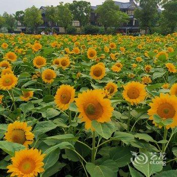 无锡静心禅意客栈酒店提供图片