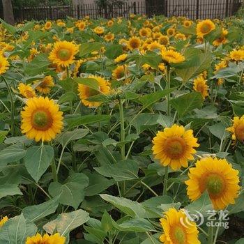 无锡静心禅意客栈酒店提供图片