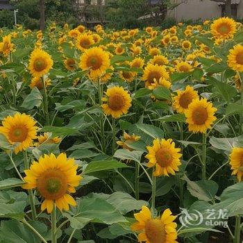 无锡静心禅意客栈酒店提供图片