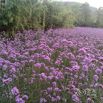 无锡静心禅意客栈酒店提供图片