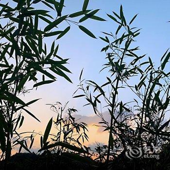 安吉云图山居民宿酒店提供图片