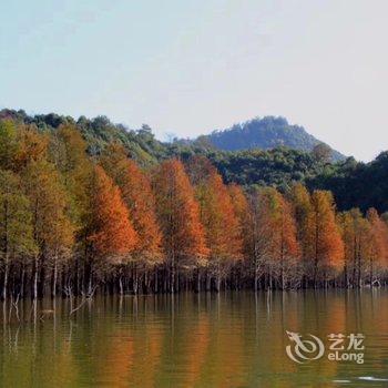 宁国洪村河畔民宿酒店提供图片