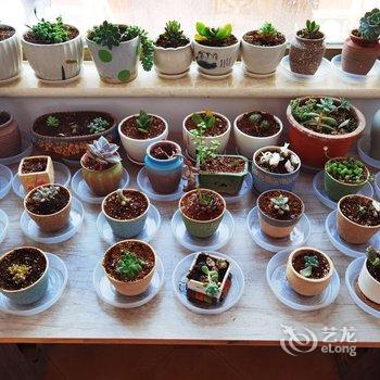 敦煌相见欢栖梦客栈酒店提供图片