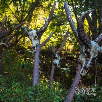 西盟熙康云舍健康度假酒店酒店提供图片