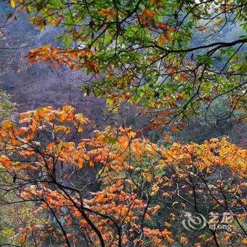 五莲观山村居民宿酒店提供图片