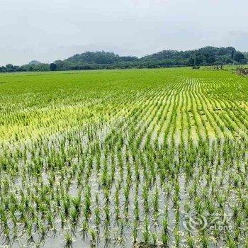 中山山海居公寓酒店提供图片