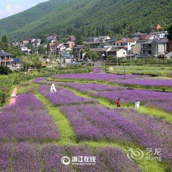 莫干山莫意民宿酒店提供图片