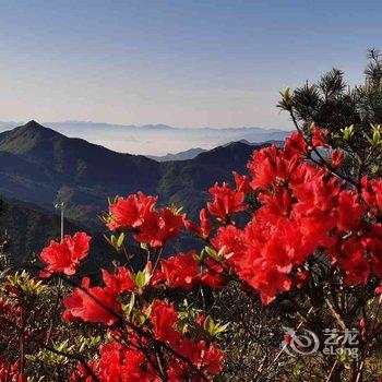 云和坐看云起民宿酒店提供图片