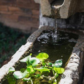 安吉诗钰民宿酒店提供图片