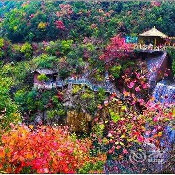 郧西五龙河小木屋酒店提供图片