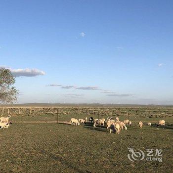 达茂旗希拉穆仁蒙情旅游接待中心酒店提供图片