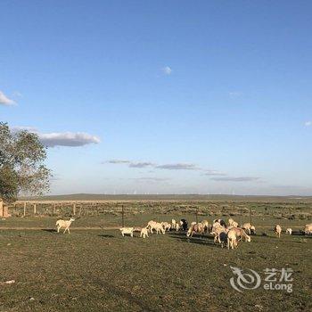 达茂旗希拉穆仁蒙情旅游接待中心酒店提供图片