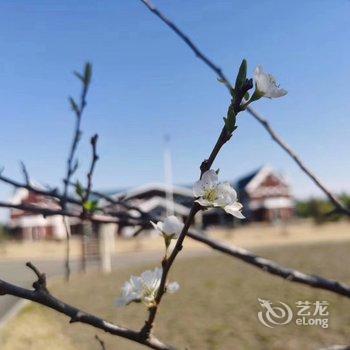 汤旺河汽车营地酒店提供图片