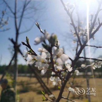 汤旺河汽车营地酒店提供图片