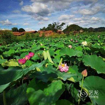 普者黑陌外客栈酒店提供图片