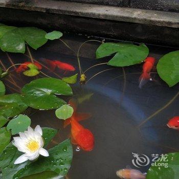 潮州家己客栈酒店提供图片