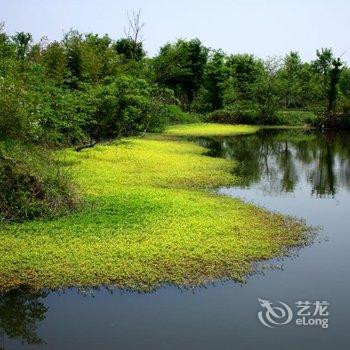 杭州西溪湿地亚朵酒店酒店提供图片