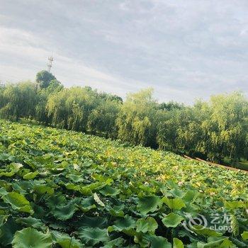 黟县青岸客栈酒店提供图片