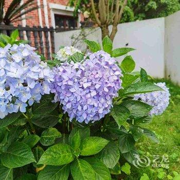 资兴江小鸭民宿酒店提供图片