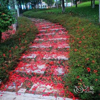 西双版纳雨林花谷酒店酒店提供图片