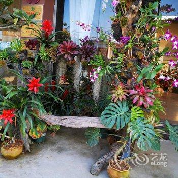 西双版纳雨林花谷酒店酒店提供图片