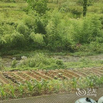 黄山隐居民宿酒店提供图片