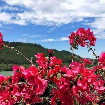 阆中惠丽雅舍酒店酒店提供图片