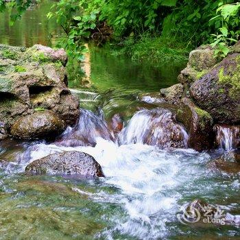 长白山蓝景国际生态交流中心酒店提供图片