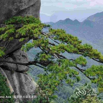 绩溪荆坎古道农家乐酒店提供图片