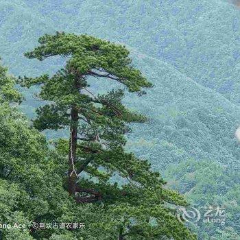 绩溪荆坎古道农家乐酒店提供图片