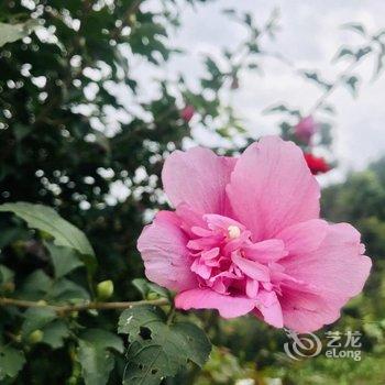 岳西四季居生态农庄酒店提供图片